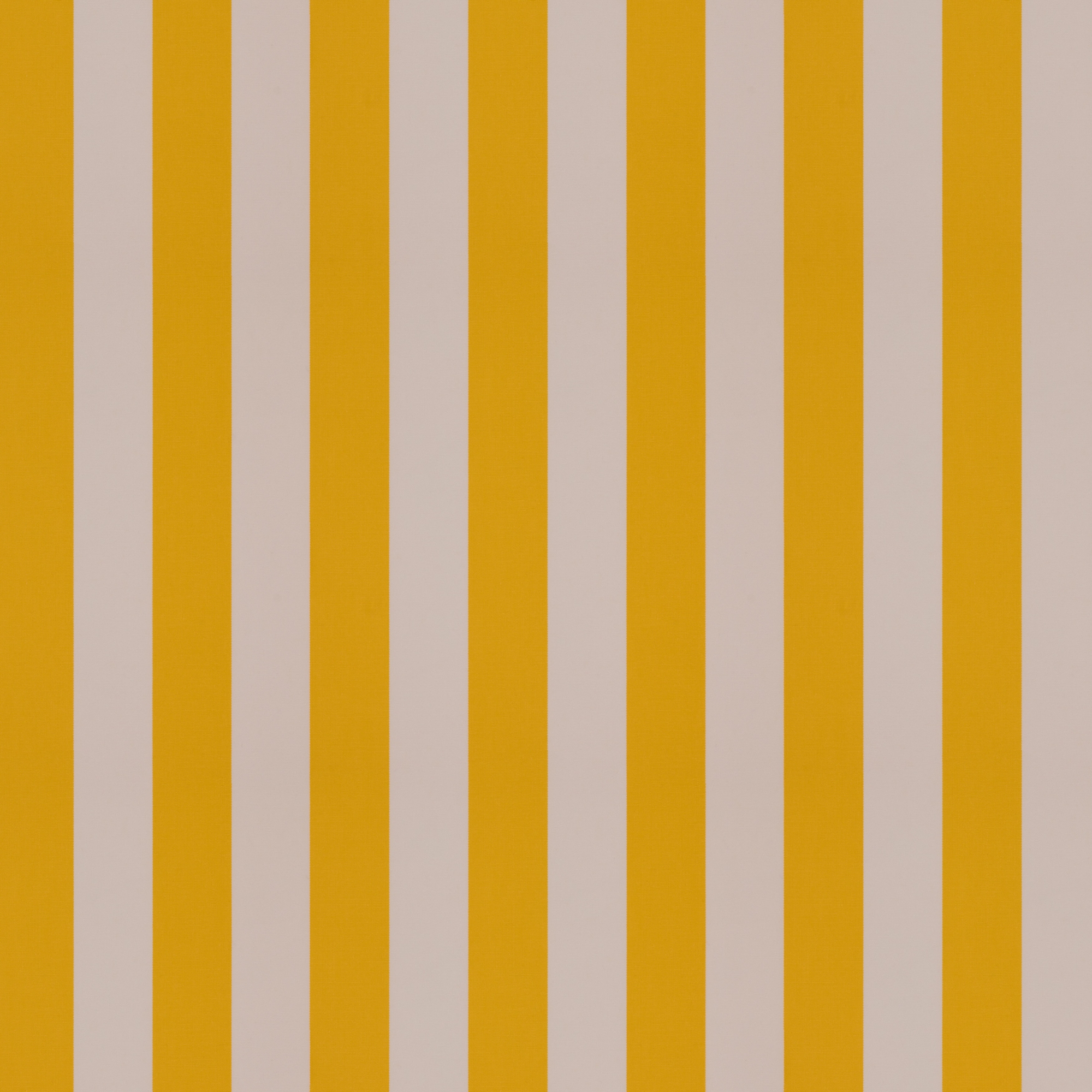 Raya | Warwick Fabrics