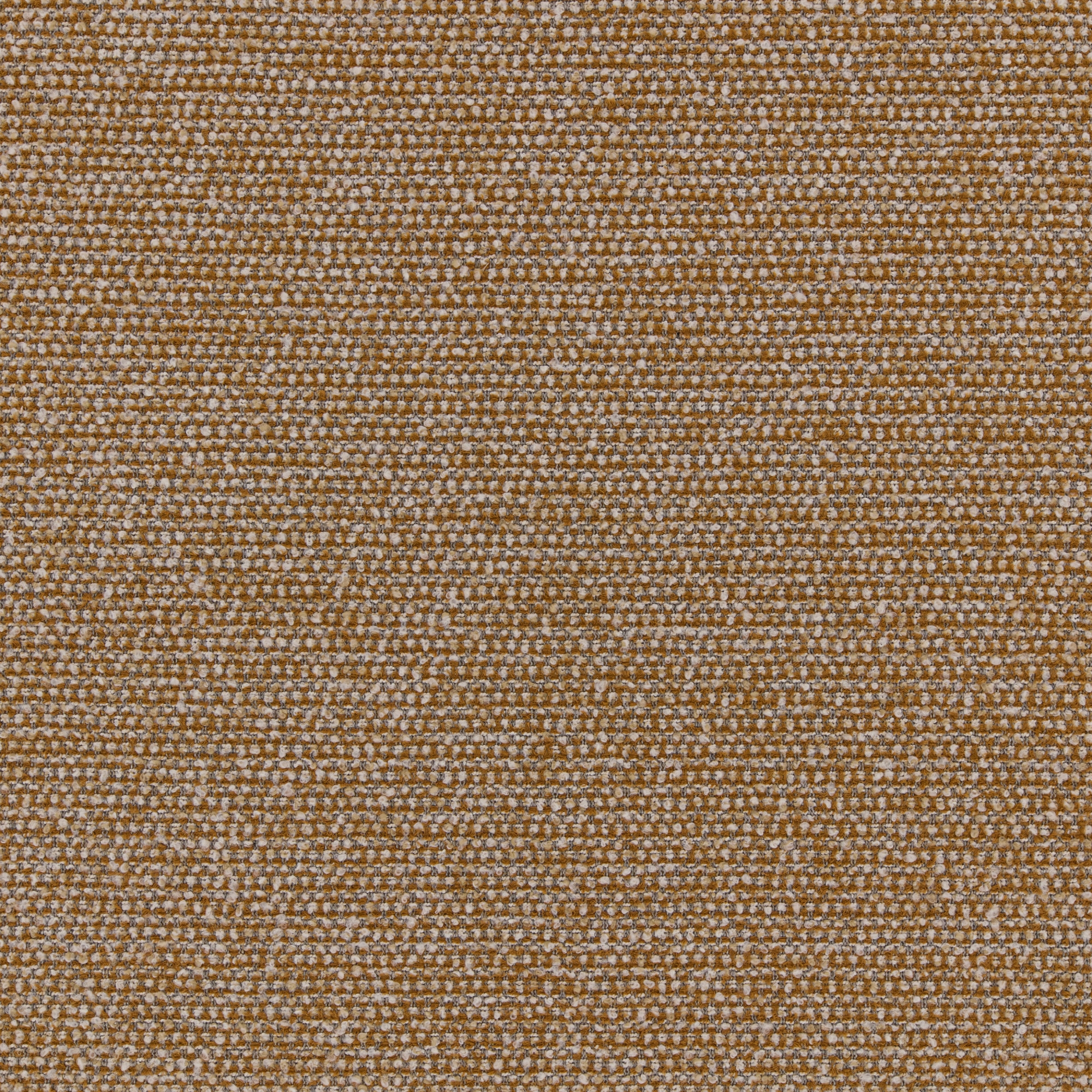 All Tufty Tufty | Warwick Fabrics