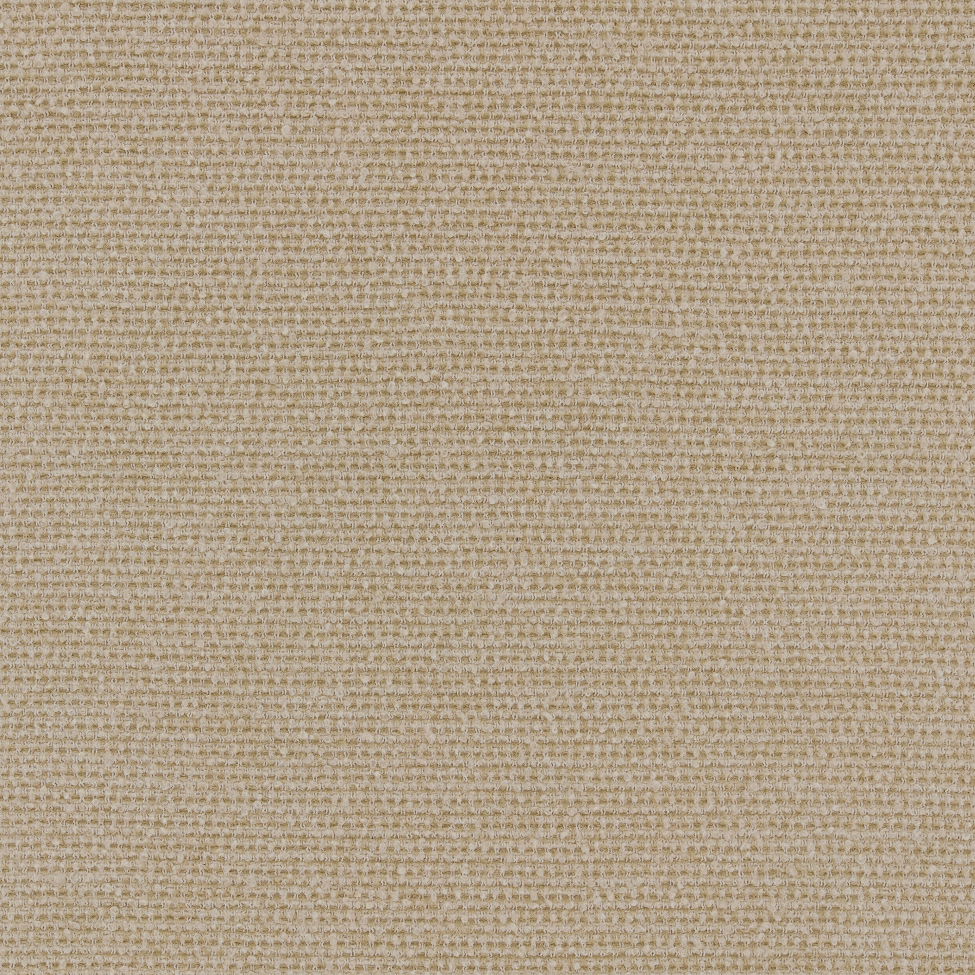 All Tufty Tufty | Warwick Fabrics